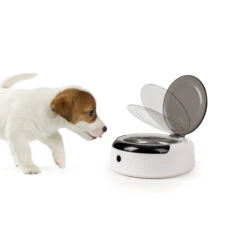 CAMP4 Gamelle Avec Détecteur De Présence -Campingaz Boutique camp4 gamelle pour chien avec detecteur de presence 2