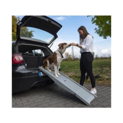 CAMP4 Rampe Emma Pour Chien